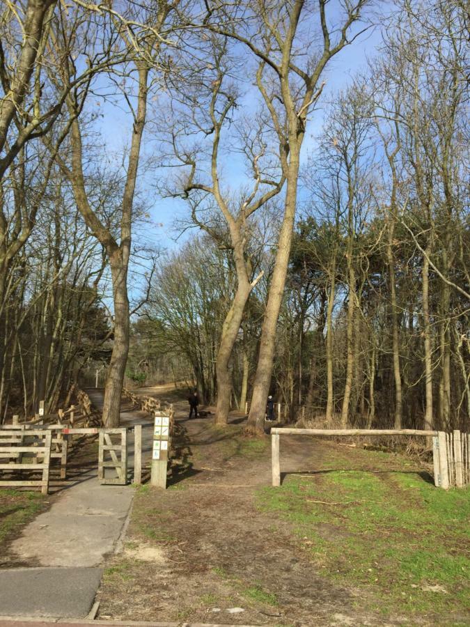 Zee Vakantievilla Begijnhof 5 De Haan Nieuwmunster Eksteriør bilde